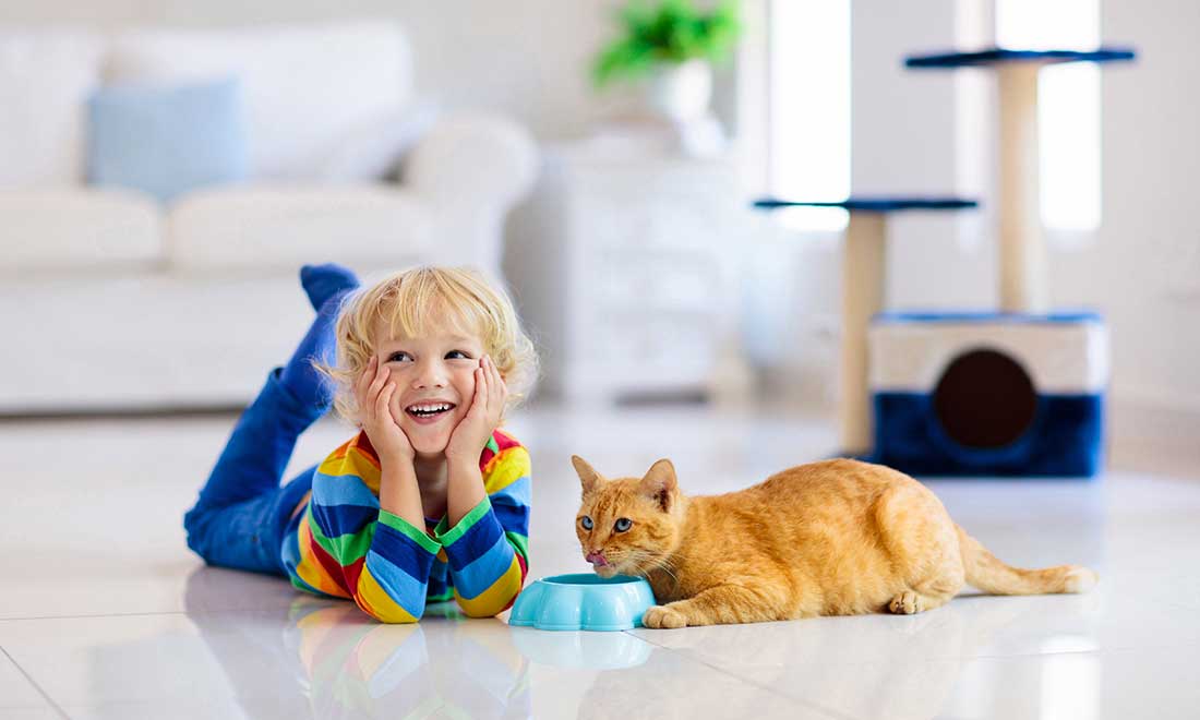 Chat & Chat expert - Alimenti Premium per gatti - Gheda